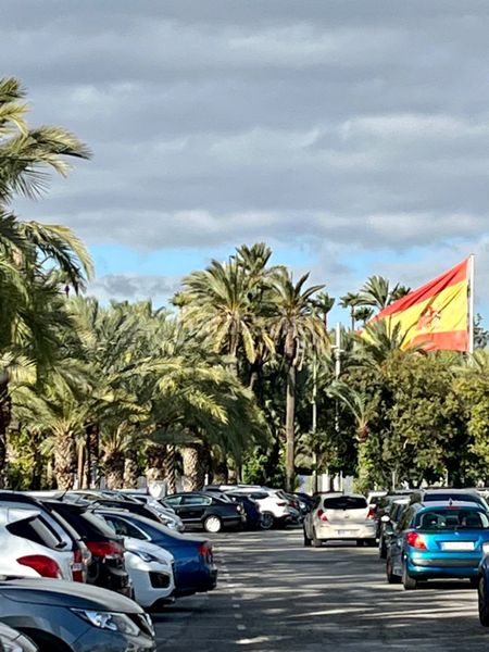Foto db29e19e-a88e-4a60-8209-5f1a99867505. Planta baixa a Centro Elche / Elx