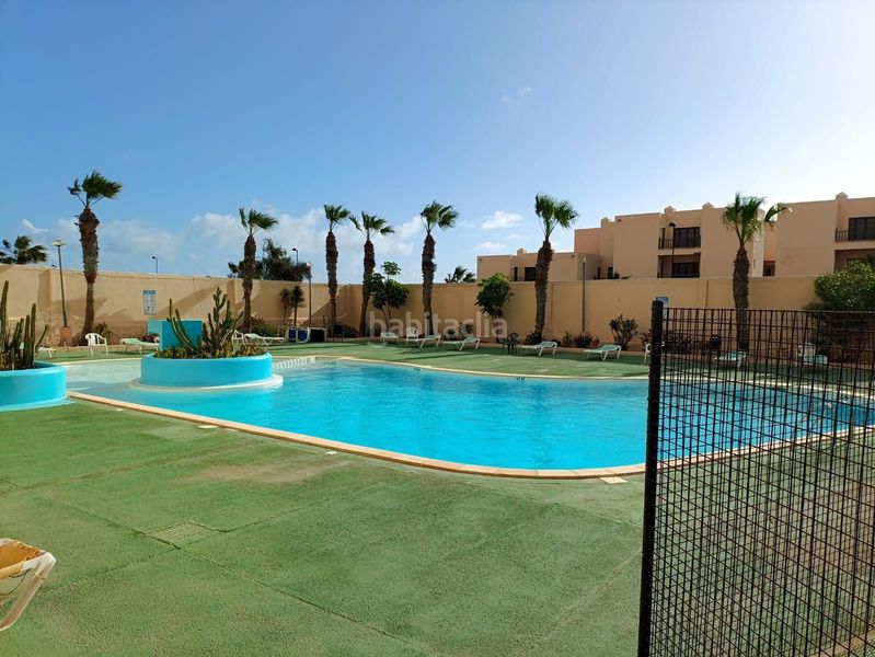 Foto 1d3fe93a-4d03-4320-a231-d5a6cad90525. Dúplex amb piscina a Parque Holandés Oliva (La)