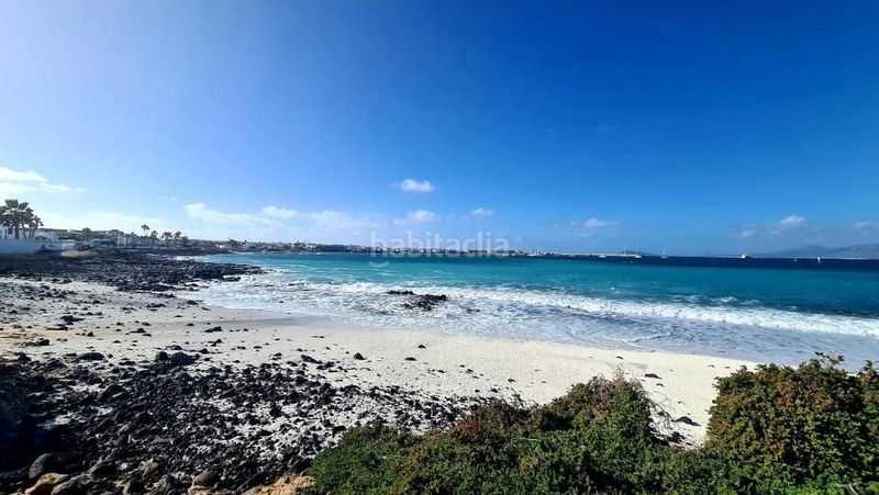 Foto adf34c39-8587-49ab-a1a0-5110a102f1bc. Casa amb piscina a Majanicho Oliva (La)