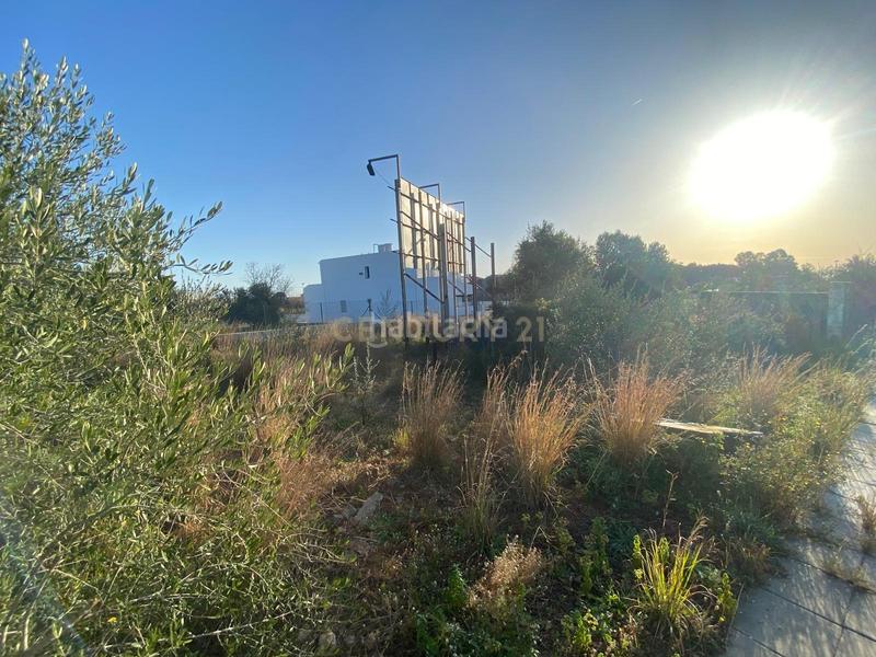 Foto 5fdf541e-1627-4e8d-b66b-401e6521bba0. Terreny residencial a roca tallada a Alcanar