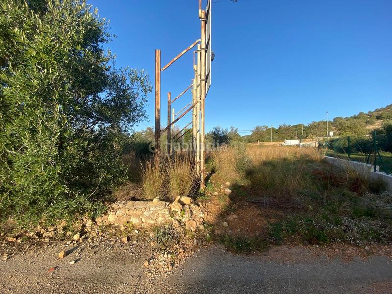 Foto a03fc2eb-286a-436a-af05-178707c5caa6. Terreny residencial a roca tallada a Alcanar