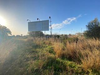 Terreno residencial en Roca tallada, alcanar, spain. Parcela urbana en les cases dalcanar