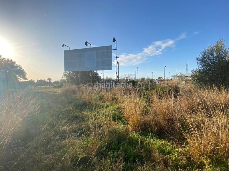 Foto c8c00fe6-f27b-4dd3-987a-fc042f0c67c1. Terreny residencial a roca tallada a Alcanar