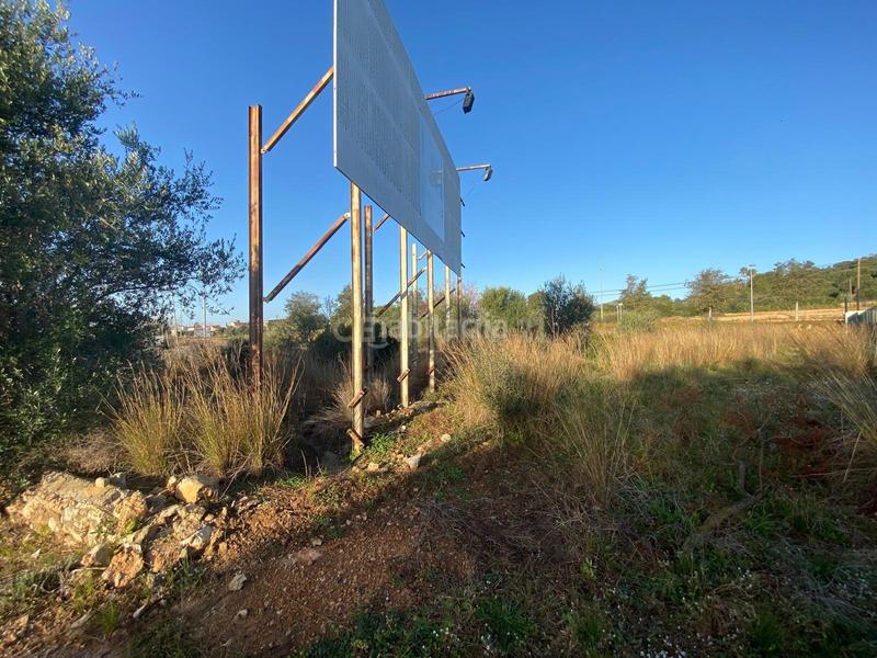 Foto e9d9a9c8-f0d4-4223-afec-4a5e554a0dff. Terreny residencial a roca tallada a Alcanar