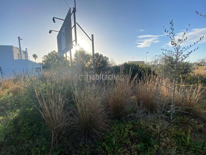 Foto fdcd1a9f-7417-4b1e-ad06-34b3b4ca864a. Terreny residencial a roca tallada a Alcanar