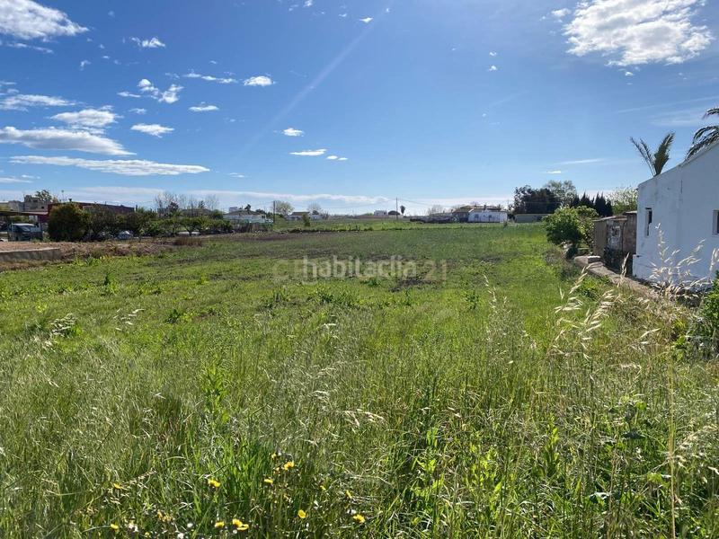 Foto cafbffa2-dd21-4317-9a13-fecaaf7e4224. Terreno residenziale in sant jaume d'enveja in Sant Jaume d´Enveja