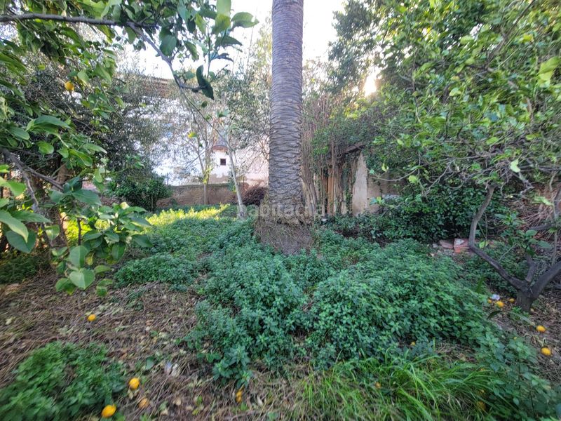 Foto 64cff155-7628-4206-ad5c-e26aacb815ee. Terreny residencial a Perafort