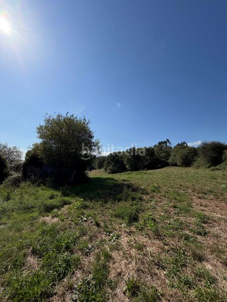 Foto 31b11c6b-a99e-4666-9803-b64e4578f9e6. Finca rústica a lugar violes 20 a Nava