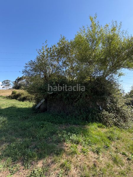 Foto a32da45e-1a55-4108-b187-d2af7fe6a161. Finca rústica a lugar violes 20 a Nava