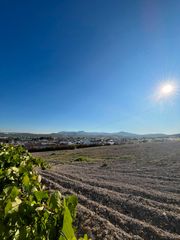 Finca r�stica en Prolongaci�n rute 5. Terreno de 9.619m� en prol. rute, lucena