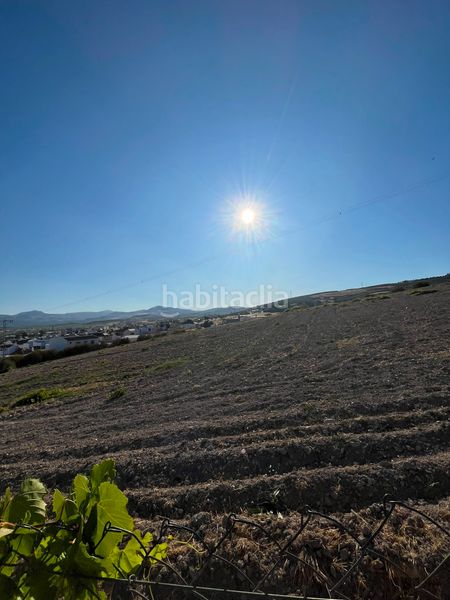 Foto 503673a4-eb91-465d-a58d-7b0256ed2b50. Finca rústica a prolongación rute 5 a El Carmen - La Barrera Lucena