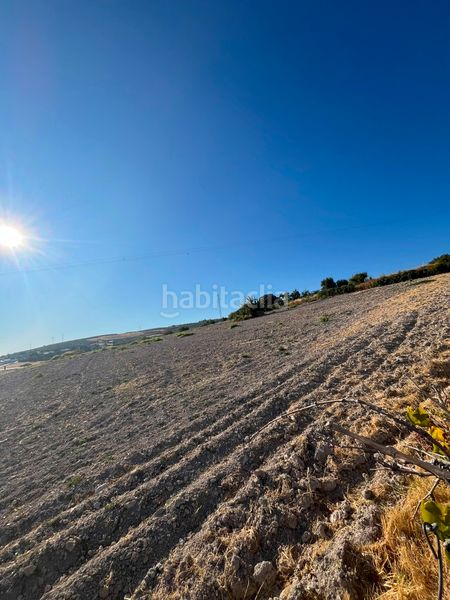 Foto a4f47a28-dc2f-4f17-ab82-bd7114d14d68. Finca rústica a prolongación rute 5 a El Carmen - La Barrera Lucena