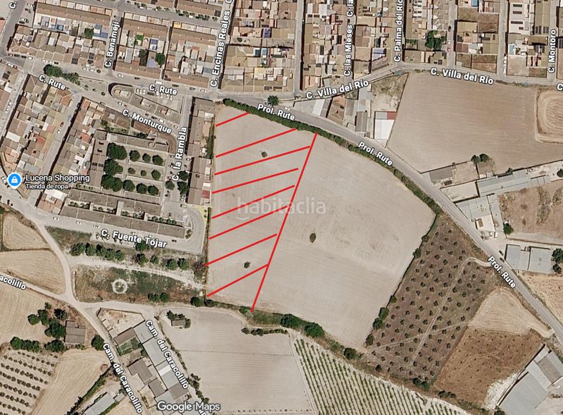 Foto de610d8b-86b0-4df1-8254-449e0cc05c1e. Finca rústica a prolongación rute 5 a El Carmen - La Barrera Lucena