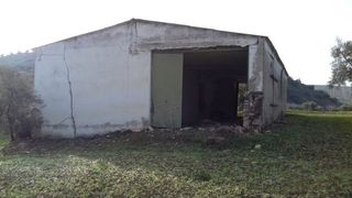 Landgut  Travesía carretera de martos 7. Finca de olivar de 8 hectáreas en martos