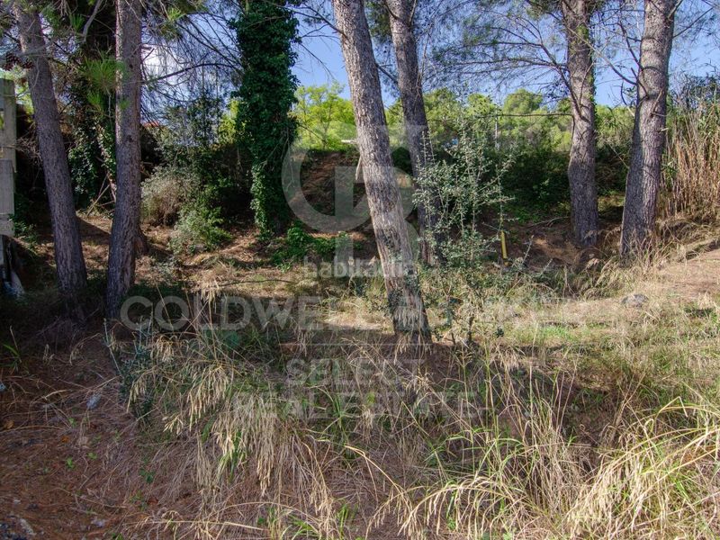 Foto 0d9f39f0-6671-4a47-abe3-3714164e791c. Terreny residencial a Bellaterra