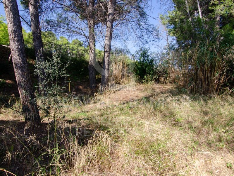 Foto 6a5fc600-3eb0-4f8e-8d32-453b68ca1525. Terreny residencial a Bellaterra
