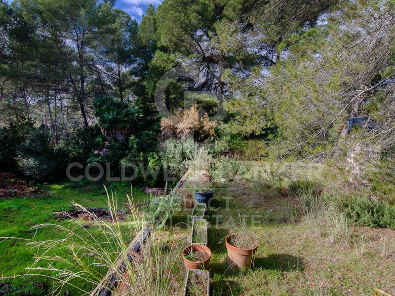 Foto 4ea7caaf-c6b1-449d-a023-4b6382b64921. Terreny residencial a Bellaterra