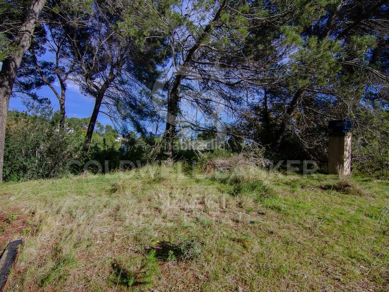 Foto cfe680b1-b57d-46fc-b012-b6167cfc3076. Terreny residencial a Bellaterra