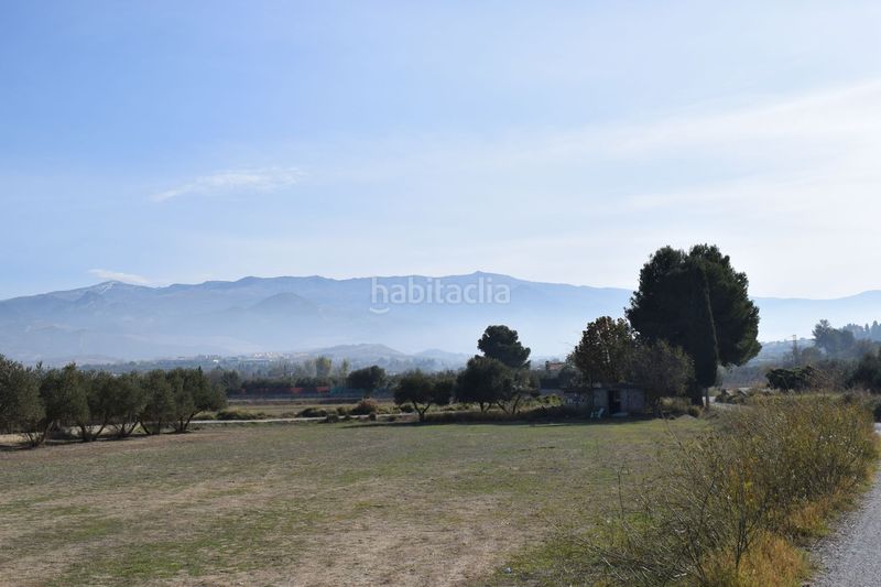 Foto 2735b83d-f3e7-4a92-9d9f-2360542cf7d1. Finca rústica a los molinos a Villa de Otura