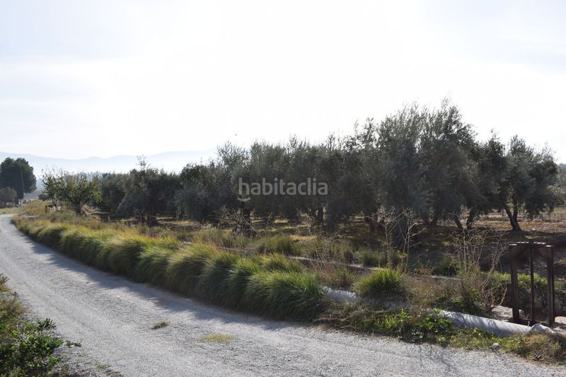 Foto 4bd09572-554e-48e5-aaac-add70f78e072. Finca rústica a los molinos a Villa de Otura