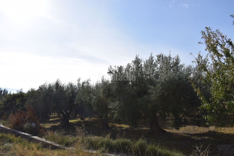 Foto 4ecbeeb7-c0f1-4a90-a2dc-6aa5339fbfe7. Finca rústica a los molinos a Villa de Otura
