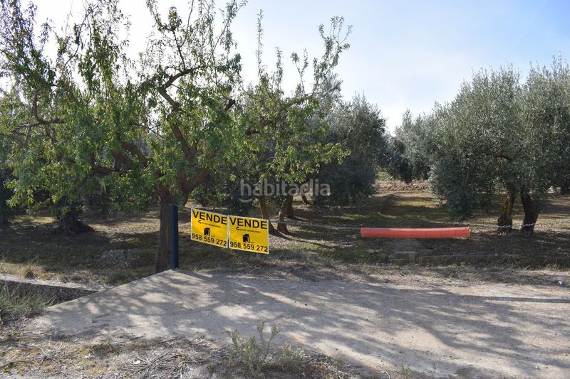 Foto 63d7aff8-eda1-4736-a147-1e40fcf0b0d0. Finca rústica a los molinos a Villa de Otura