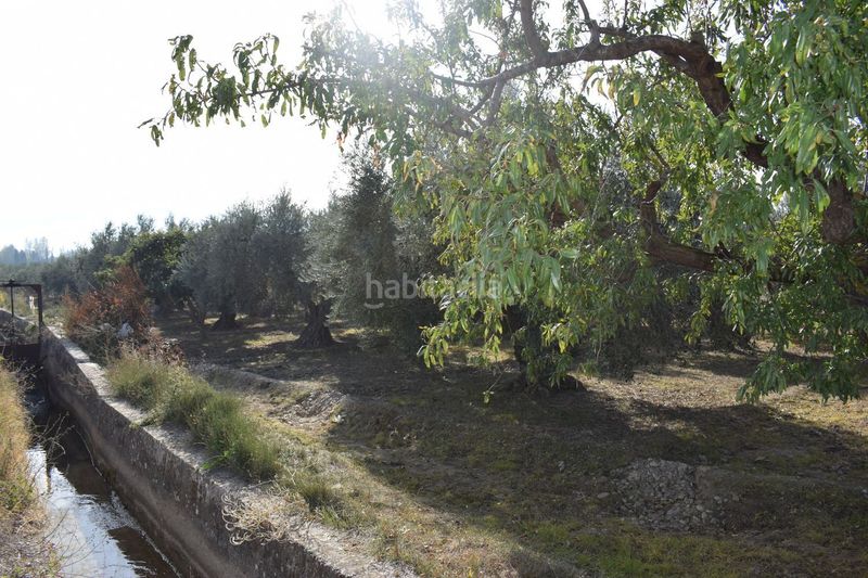 Foto 66793897-710a-425d-92ff-d1912a81f499. Finca rústica a los molinos a Villa de Otura