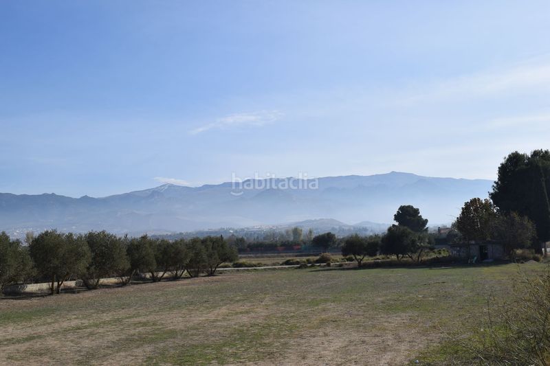 Foto 89537aeb-7905-4ac0-af5e-654313de7bd9. Finca rústica a los molinos a Villa de Otura