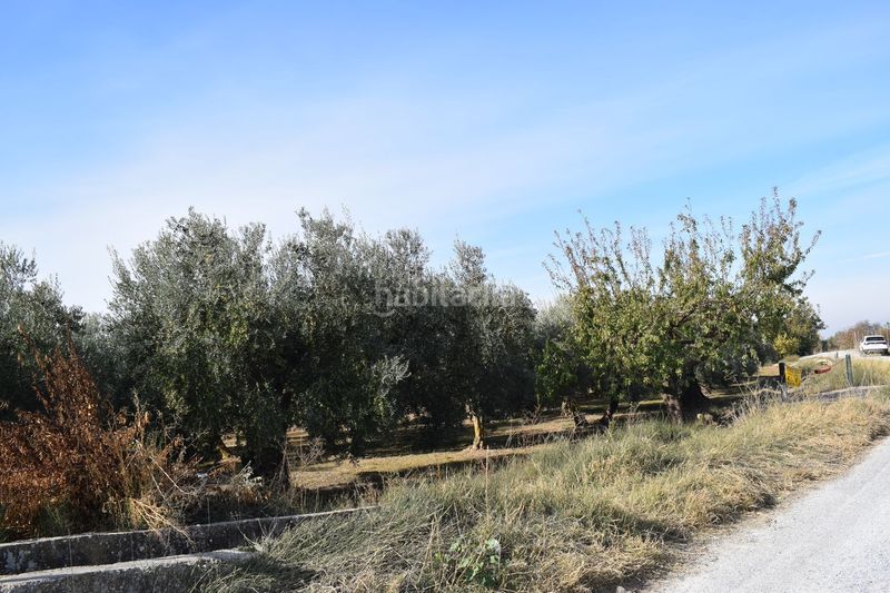 Foto 90a907e3-cf23-4003-a315-15e7eadae941. Finca rústica a los molinos a Villa de Otura