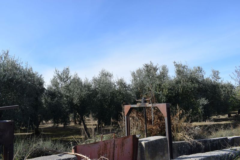 Foto a1c0a976-ca5c-4ca9-887f-8256aa03b3b3. Finca rústica a los molinos a Villa de Otura