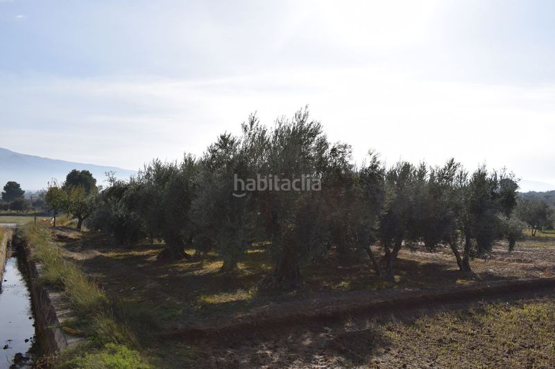 Foto b1b68d23-eec7-4cae-b563-7d56a25da419. Finca rústica a los molinos a Villa de Otura