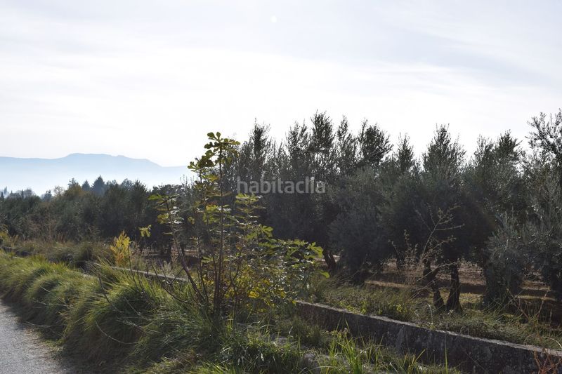 Foto bc627c5a-540f-4ca4-9c53-6eaba00aacf5. Finca rústica a los molinos a Villa de Otura