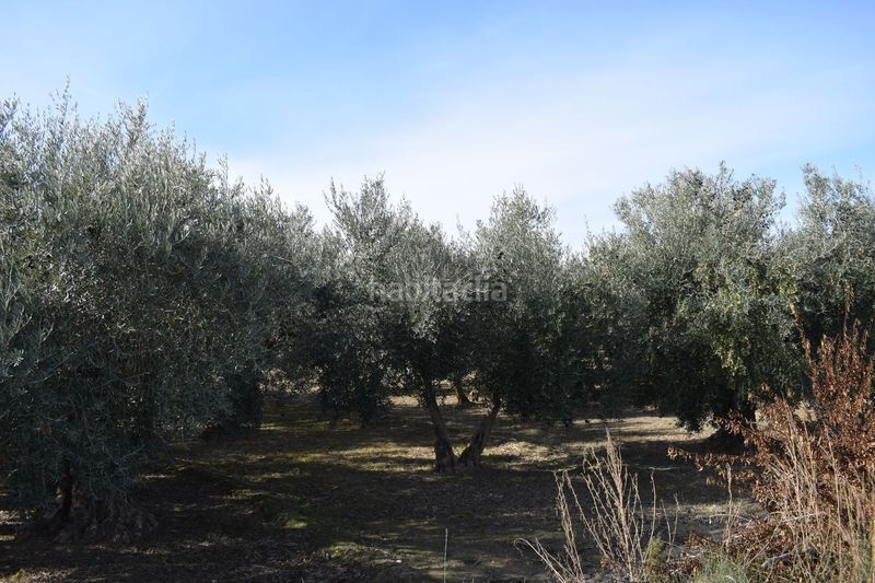 Foto f4450f10-3556-42d5-83e8-590abd15943d. Finca rústica a los molinos a Villa de Otura