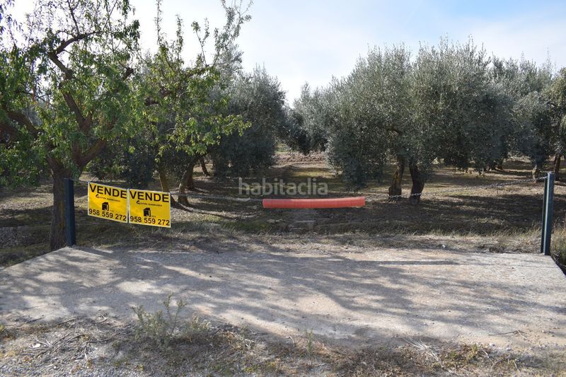 Foto f53866ae-d639-4606-966d-33b9e428f34c. Finca rústica a los molinos a Villa de Otura