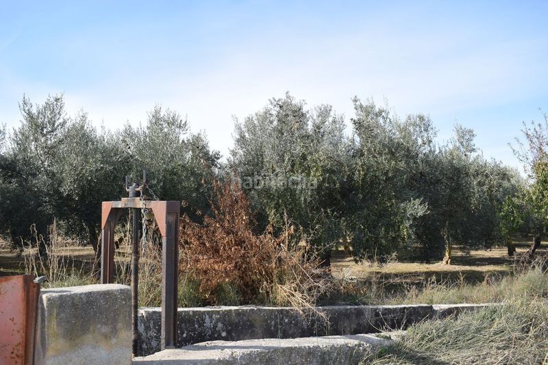 Foto ffeb4573-1eb8-41c8-955a-16dcec903ae6. Finca rústica a los molinos a Villa de Otura