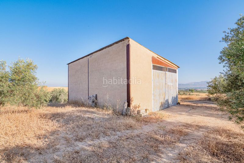 Foto 5570297f-2382-47e6-947b-305ffec21b27. Finca rústica a Santa Fe