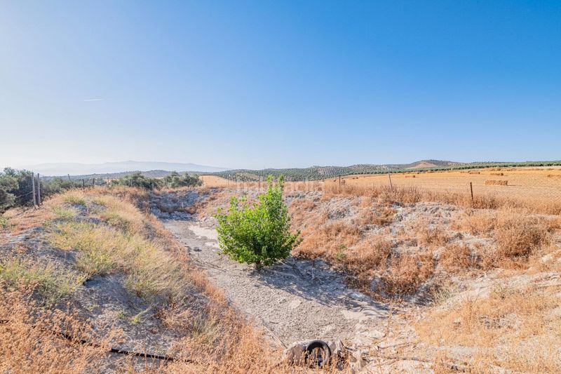 Foto ed7a38c1-c797-4f6c-9632-05f1da8506e3. Finca rústica a Santa Fe