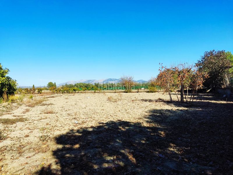 Foto 25a0a445-cd92-4011-84a0-f59de79f4a9a. Finca rústica a Residencial Triana - Barrio Alto Gabias (Las)