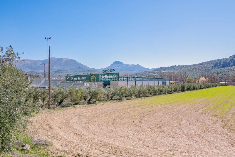 Foto 4f264ed5-9759-4610-86bd-62a5e0a73243. Finca rústica a Deifontes