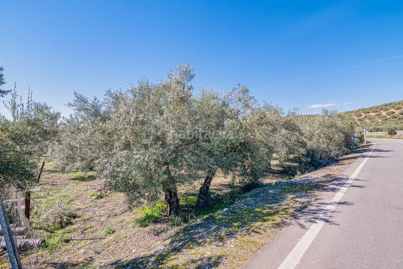 Foto abbe8b19-5652-49d3-b970-76b5ce7bced4. Finca rústica a Deifontes