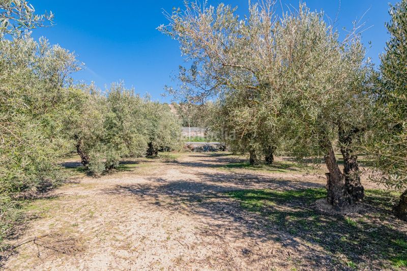 Foto cd8c5ec4-52da-4cfe-92bc-7e3c1596b232. Finca rústica a Deifontes