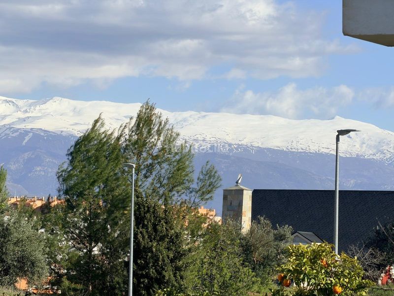 Foto 87e0262e-18d3-4051-a991-b285331838c2. Terreny residencial a Atarfe