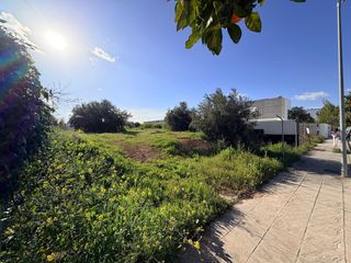Terreny residencial a MERCURIO