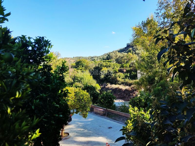 Foto 821956d4-2bc4-4459-b11a-0a474d6606e4. Terreny residencial a Valle (El)