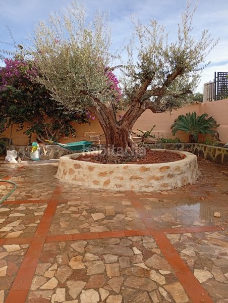 Foto b28be6f1-0f5f-4f03-9354-545c3a384b07. Lloguer xalet amb xemeneia calefacció aparcament piscina a Polop