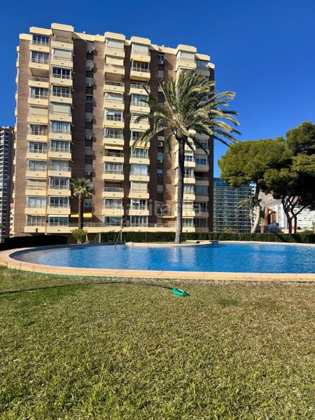 Foto 7bb2dab6-e41c-4907-a1ba-7d1b1a95e536. Lloguer apartament amb aparcament piscina a Playa Poniente Benidorm
