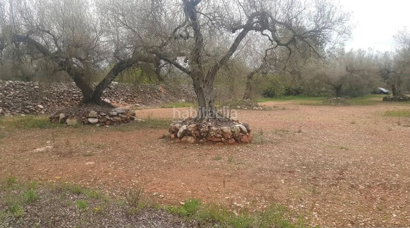 Foto 4b8bba5e-5169-4adb-a23f-f4b4bad5699d. Finca rústica terreno en venta ! en Ulldecona
