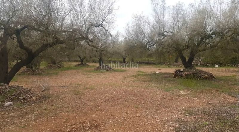 Foto a10df953-9011-462c-bfd3-0e0c04f43407. Finca rústica terreno en venta ! en Ulldecona