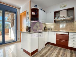 Pis  N/a. Centro platja daro
