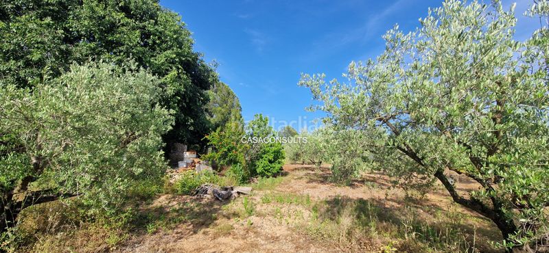 Foto c07c6a2a-d1cc-4a29-a099-2a9503b750f8. Masia amb xemeneia aparcament a Vall d´Alba
